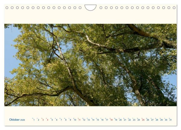 Produktbild: Am Rhein - Urdenbacher K&auml;mpe (Wandkalender 2026 DIN A4 quer), CALVENDO Monatskalender