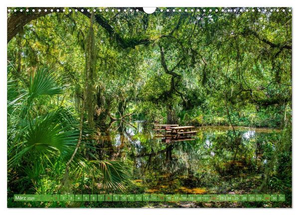 Produktbild: Florida - Sonnige Str&auml;nde und magische S&uuml;mpfe (Wandkalender 2026 DIN A3 quer), CALVENDO Monatskalender