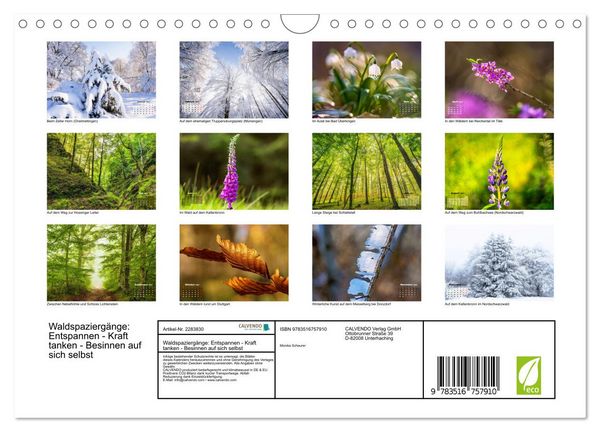 Produktbild: Waldspazierg&auml;nge: Entspannen - Kraft tanken - Besinnen auf sich selbst (Wandkalender 2027 DIN A4 quer), CALVENDO Monatskalender