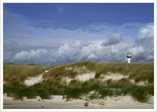 Produktbild: Bin am Meer - Postkartenbuch