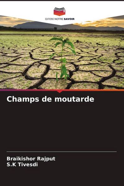 Produktbild: Champs de moutarde