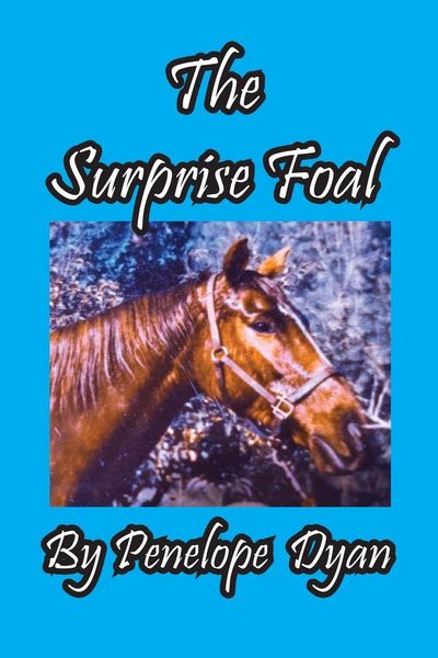 Produktbild: The Surprise Foal