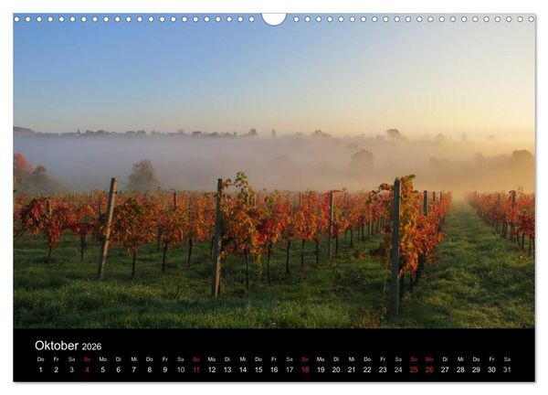 Produktbild: Weinidylle im S&uuml;dburgenland (Wandkalender 2026 DIN A3 quer), CALVENDO Monatskalender
