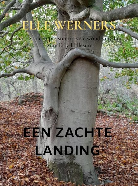 Een Zachte Landing, Taschenbuch von Elle Werners, Bookmundo, 9789403826943