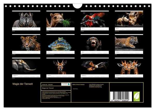 Produktbild: Magie der Tierwelt (Wandkalender 2026 DIN A4 quer), CALVENDO Monatskalender