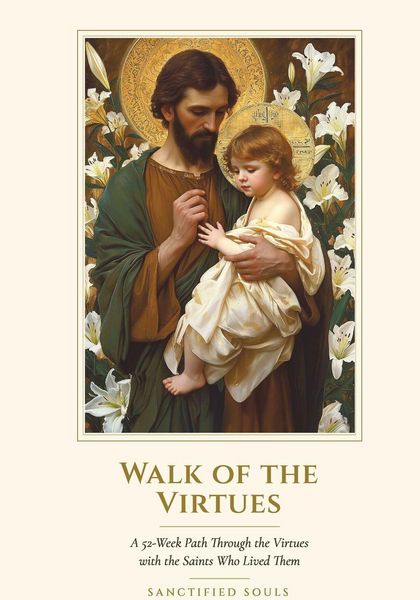 Produktbild: Walk of the Virtues