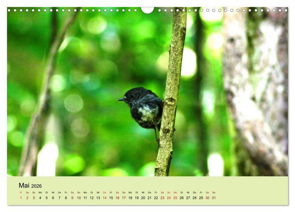Produktbild: Neuseelands Vogelwelt (Wandkalender 2026 DIN A3 quer), CALVENDO Monatskalender