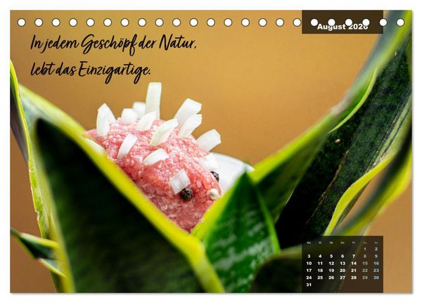 Produktbild: Mettkalender - Mettigel Edition (Tischkalender 2026 DIN A5 quer), CALVENDO Monatskalender