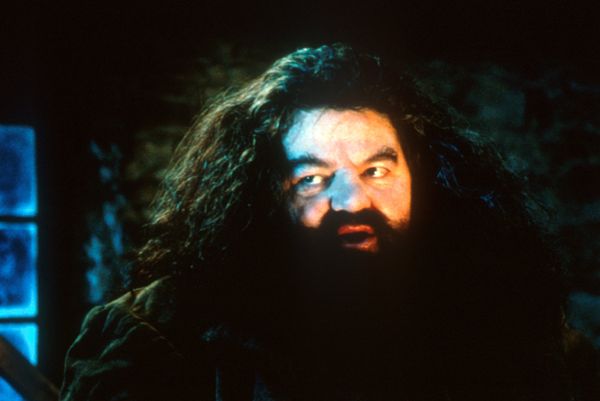 Produktbild: Harry Potter und der Stein der Weisen - Jubil&auml;ums-Edition 20 Jahre Magische Momente - Magical Movie Mode
[2 DVDs]