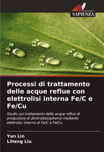 Produktbild: Processi di trattamento delle acque reflue con elettrolisi interna Fe/C e Fe/Cu