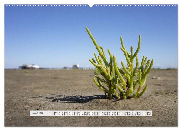 Produktbild: St. Peter-Ording (Wandkalender 2026 DIN A2 quer), CALVENDO Monatskalender
