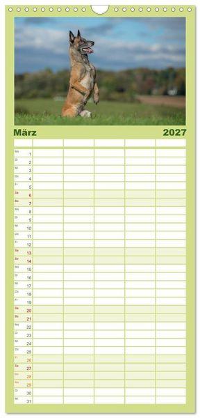 Produktbild: Familienplaner 2027 - Belgischer Sch&auml;ferhund - Der Malinois in Action mit 5 Spalten (Wandkalender, 21 x 45 cm) CALVENDO