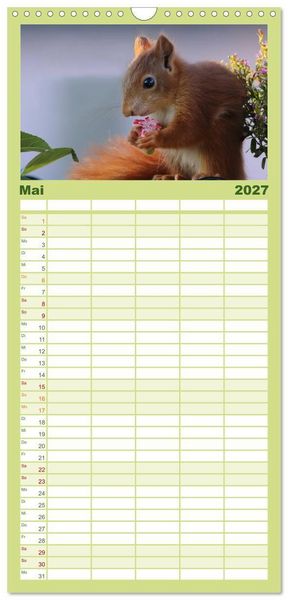 Produktbild: Familienplaner 2027 - Eichh&ouml;rnchen Kinder mit 5 Spalten (Wandkalender, 21 x 45 cm) CALVENDO