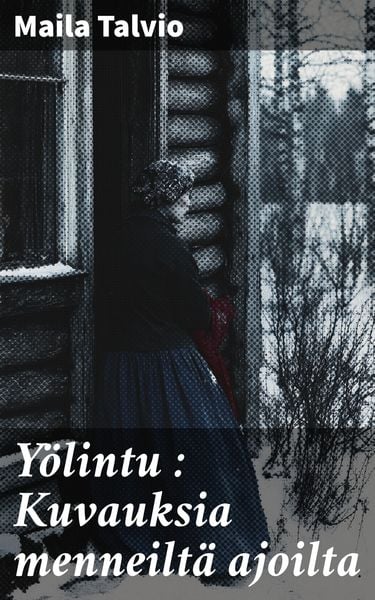 Produktbild: Y&ouml;lintu : Kuvauksia menneilt&auml; ajoilta