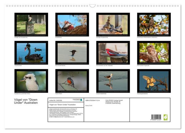 Produktbild: V&ouml;gel von "Down Under" Australien (Wandkalender 2027 DIN A2 quer), CALVENDO Monatskalender