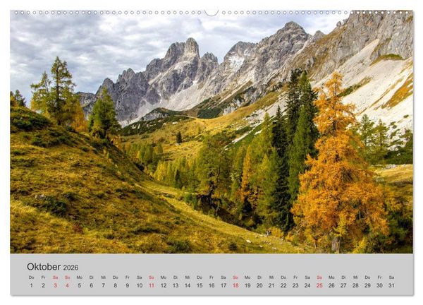 Produktbild: Komm, ich zeige dir den Wald (Wandkalender 2026 DIN A2 quer), CALVENDO Monatskalender