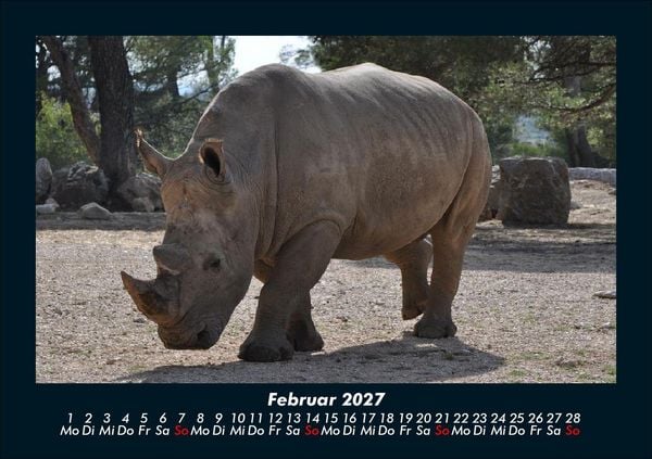 Produktbild: Der Tierkalender 2027 Fotokalender DIN A5