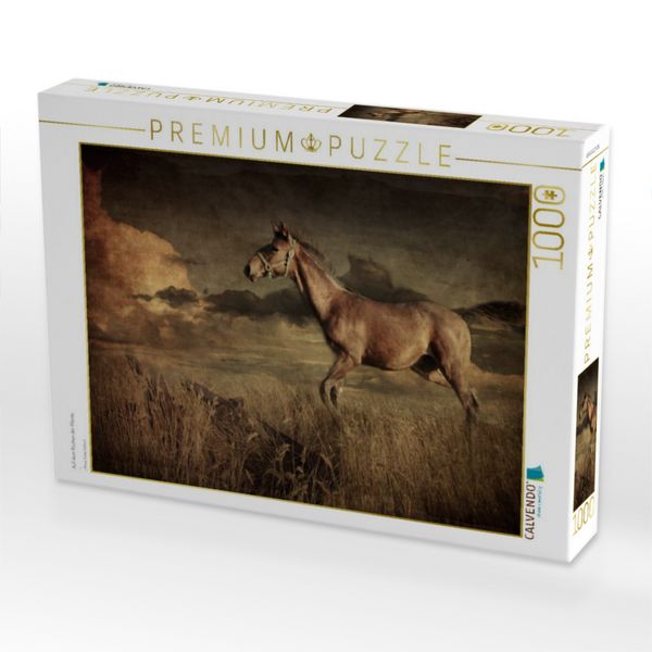 Produktbild: CALVENDO Puzzle Auf dem R&uuml;cken der Pferde | 1000 Teile Lege-Gr&ouml;&szlig;e 64x48cm Foto-Puzzle f&uuml;r gl&uuml;ckliche Stunden