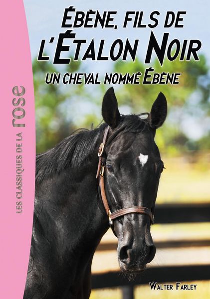 Produktbild: L'&Eacute;talon Noir 22 - Un cheval nomm&eacute; &Eacute;b&egrave;ne