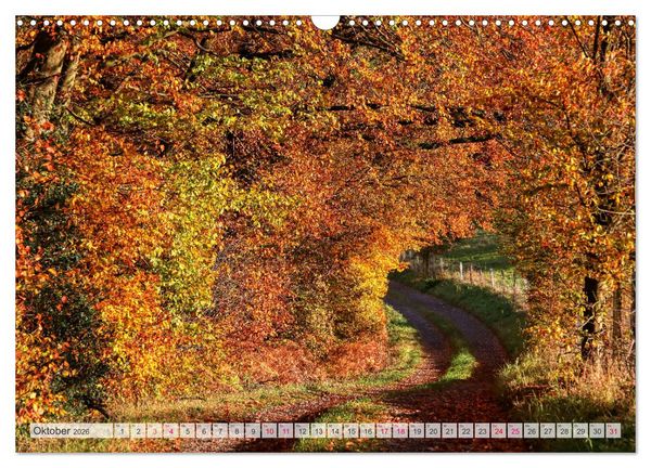 Produktbild: Idyllische Wanderwege im Bergischen Land (Wandkalender 2026 DIN A3 quer), CALVENDO Monatskalender