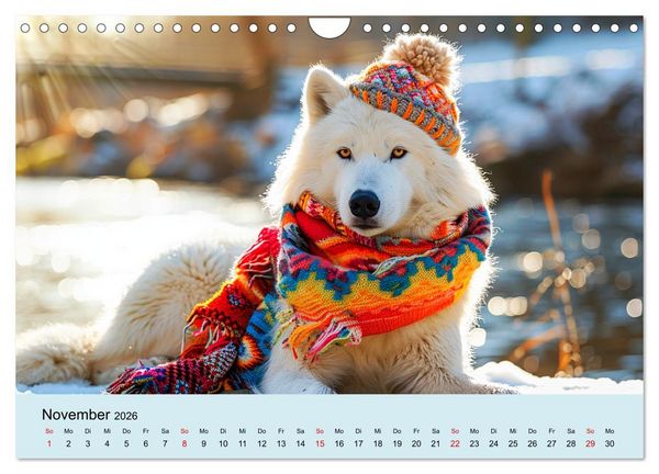 Produktbild: Die sch&ouml;nsten Tiermodels. Schicke Outfits und High Fashion (Wandkalender 2026 DIN A4 quer), CALVENDO Monatskalender