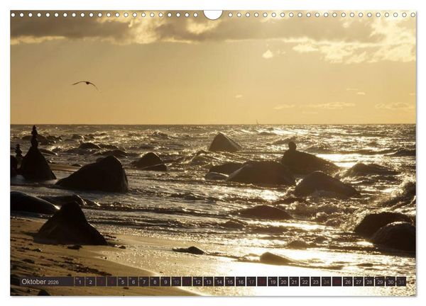 Produktbild: Die perfekte Welle (Wandkalender 2026 DIN A3 quer), CALVENDO Monatskalender