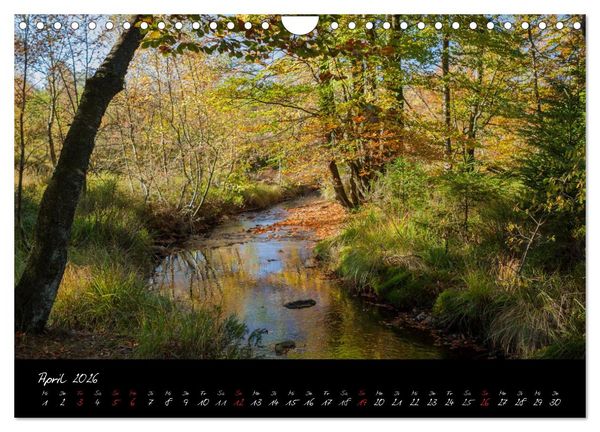 Produktbild: Hochmoor Hohes Venn (Wandkalender 2026 DIN A4 quer), CALVENDO Monatskalender