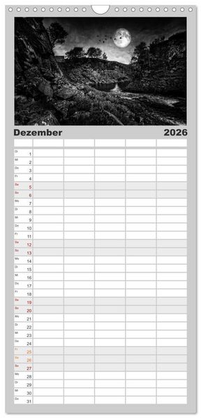Produktbild: Familienplaner 2026 - Gothic Fantasy mit 5 Spalten (Wandkalender, 21 x 45 cm) CALVENDO