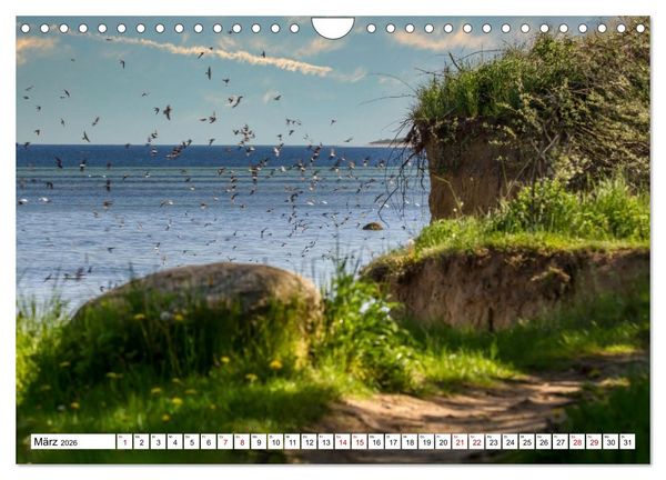 Produktbild: Beckerwitz - Impressionen aus der Wohlenberger Wiek (Wismarer Bucht) (Wandkalender 2026 DIN A4 quer), CALVENDO Monatskalender
