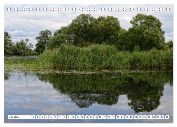 Produktbild: Ein Sommer im Havelland - Spaziergang entlang am Havelradweg (Tischkalender 2026 DIN A5 quer), CALVENDO Monatskalender
