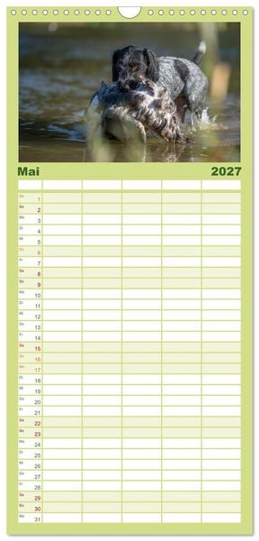 Produktbild: Familienplaner 2027 - Jagdhunde bei der Arbeit mit 5 Spalten (Wandkalender, 21 x 45 cm) CALVENDO