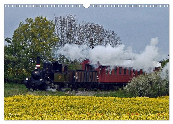 Produktbild: Kappeln und Angeln - Zwischen Ostsee und Schlei (Wandkalender 2026 DIN A3 quer), CALVENDO Monatskalender