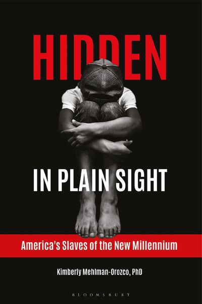 Produktbild: Mehlman-Orozco, K: Hidden in Plain Sight
