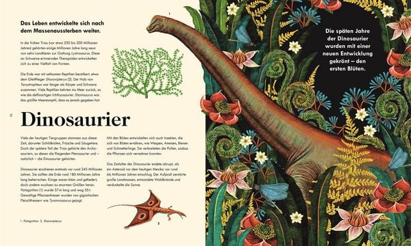 Produktbild: Das Wunder des Lebens