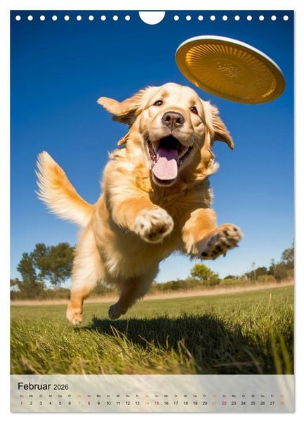 Produktbild: Golden Retriever - ein Hund f&uuml;r die Familie (Wandkalender 2026 DIN A4 hoch), CALVENDO Monatskalender