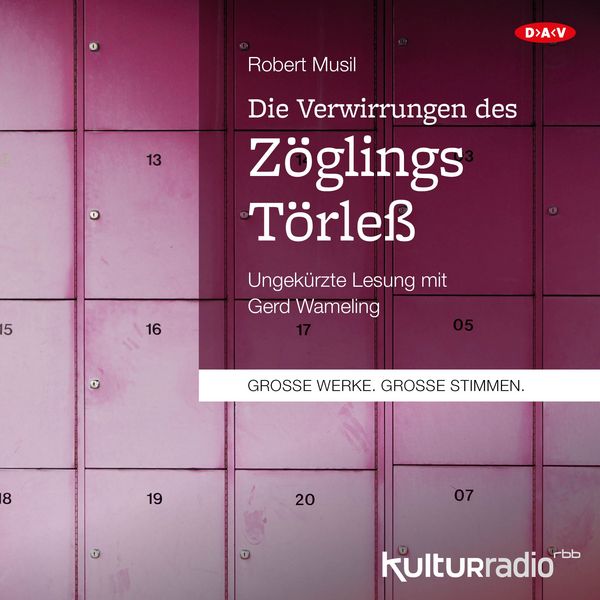 Die Verwirrungen des Zöglings Törleß - Robert Musil, Audio, 9783862317905