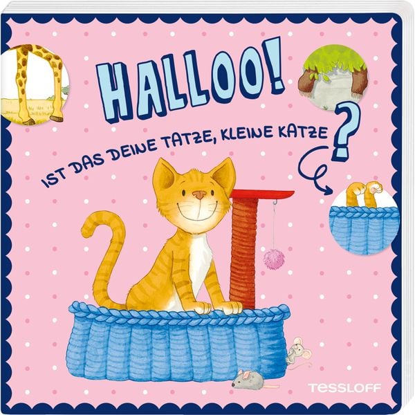 Produktbild: Halloo! Ist das deine Tatze, kleine Katze?