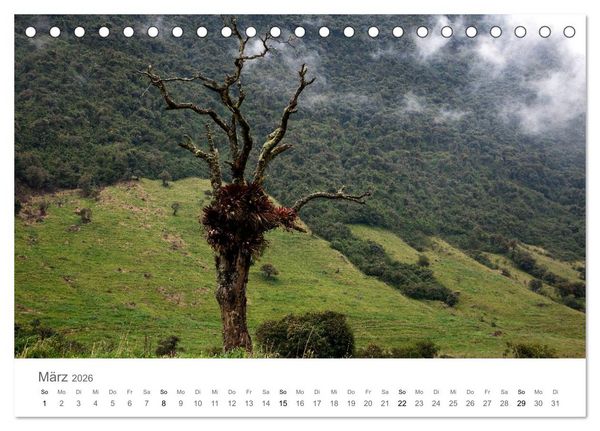 Produktbild: Ecuador - Regenwald und Vulkane (Tischkalender 2026 DIN A5 quer), CALVENDO Monatskalender