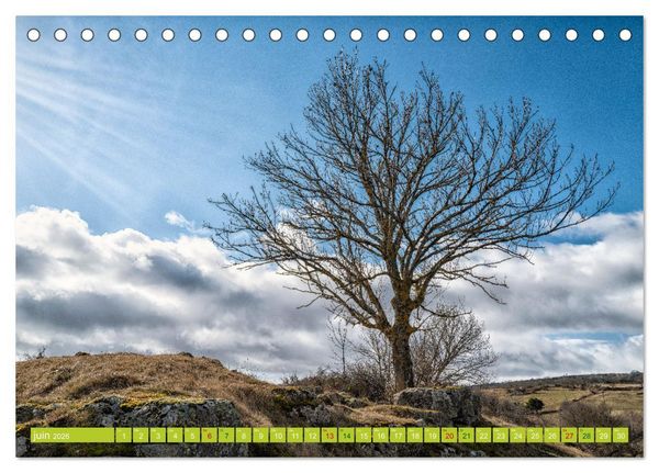 Produktbild: Solitude verdoyante (Calendrier de bureau 2026 DIN A5 vertical), CALVENDO calendrier mensuel