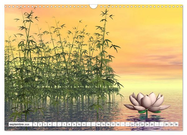 Produktbild: LOTUS M&Eacute;DITATIFS (Calendrier mural 2026 DIN A3 vertical), CALVENDO calendrier mensuel