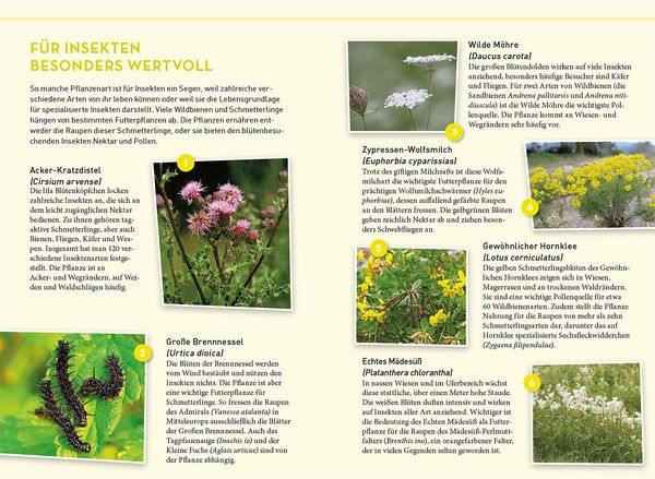 Produktbild: Lieblingsblumen