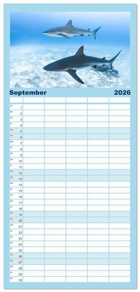 Produktbild: Familienplaner 2026 - Haie - Vorsicht gef&auml;hrlich! mit 5 Spalten (Wandkalender, 21 x 45 cm) CALVENDO