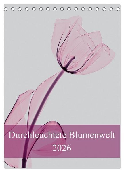 Durchleuchtete Blumenwelt 2026 (Tischkalender 2026 DIN A5 hoch), CALVENDO Monatskalender