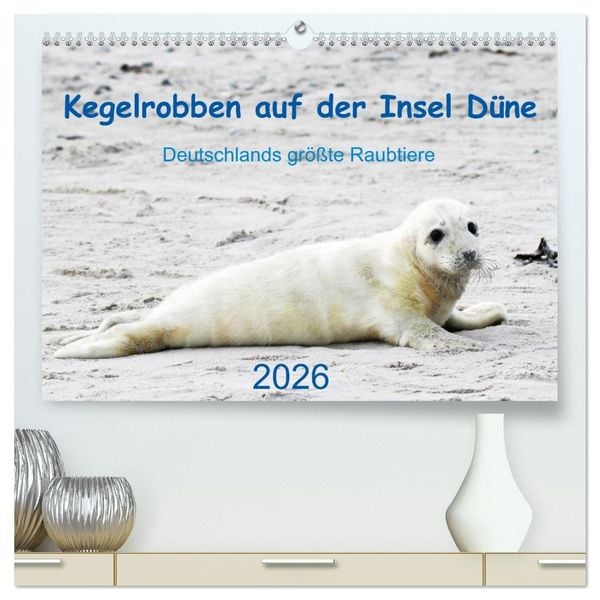 Produktbild: Kegelrobben auf der Insel D&uuml;ne (hochwertiger Premium Wandkalender 2026 DIN A2 quer), Kunstdruck in Hochglanz