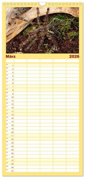 Produktbild: Familienplaner 2026 - Vogelspinnen - Tarantulas mit 5 Spalten (Wandkalender, 21 x 45 cm) CALVENDO