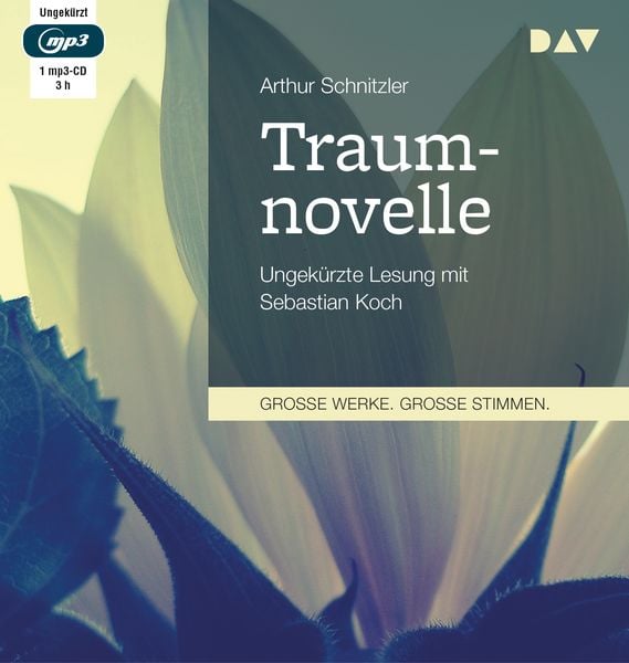 Produktbild: Traumnovelle