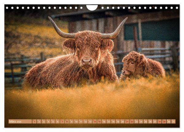 Produktbild: Mutterk&uuml;he (Wandkalender 2026 DIN A4 quer), CALVENDO Monatskalender