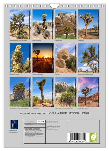 Produktbild: Impressionen aus dem JOSHUA TREE NATIONAL PARK (Wandkalender 2026 DIN A4 hoch), CALVENDO Monatskalender
