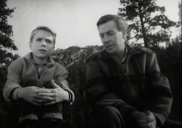 Produktbild: Lassie verschwindet