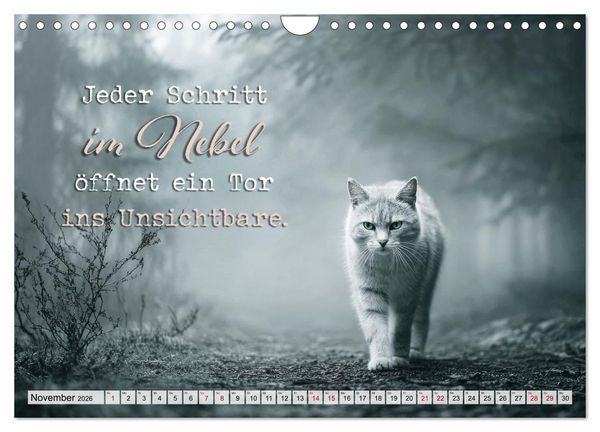 Produktbild: Katzenpoesie - Herzber&uuml;hrende Verse (Wandkalender 2026 DIN A4 quer), CALVENDO Monatskalender